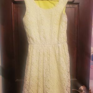 Express lace dress
